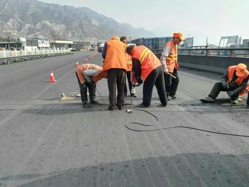 普兰店道路桥梁病害治理